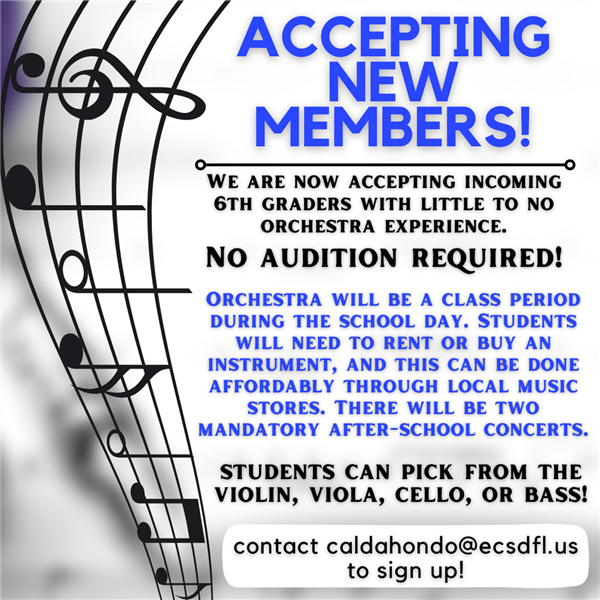 FPMS: Orchestra Accepting New Members Flyer